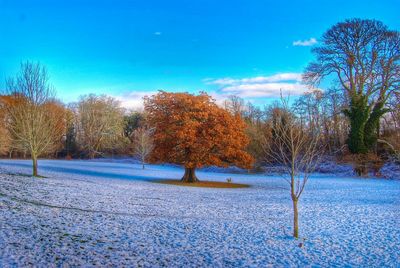 Scenic view of snow covered landscape