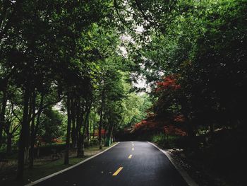 Road passing through country road