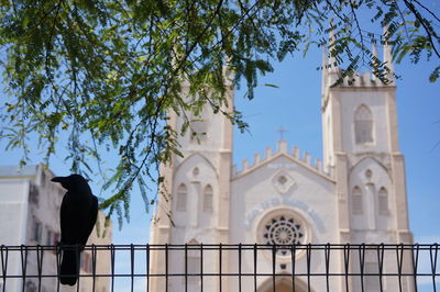 Low angle view of crow perching on metallic fence against church of st francis xavier