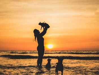 Silhouette woman with dogs at beach against sky during sunset