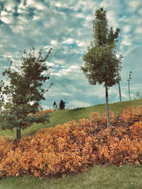 Trees on field against sky during autumn