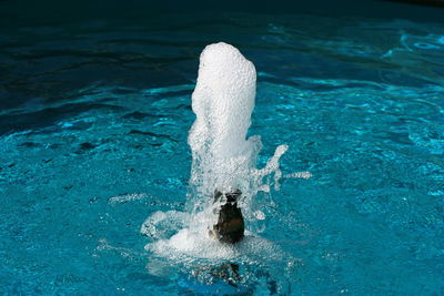 High angle view of man swimming in pool