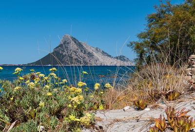 Scenic view of sea against blue sky