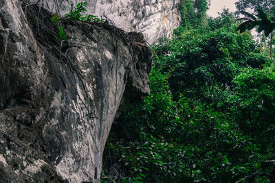 Close-up of rock in cave