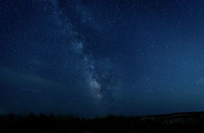 Low angle view of star field against sky at night