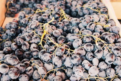 High angle view of fruits for sale