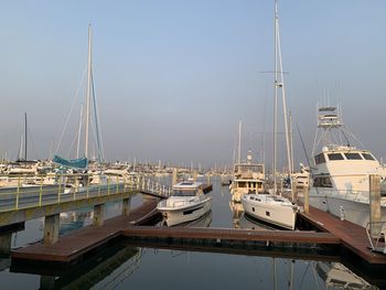 Sailboats moored in harbor against clear sky