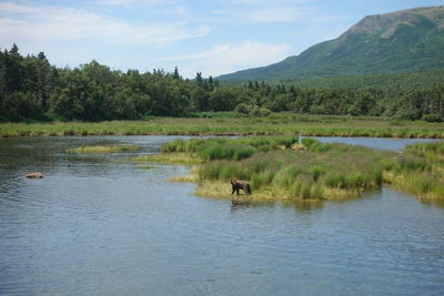 Scenic view of lake against sky