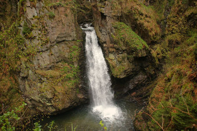 Scenic view of waterfall in forest