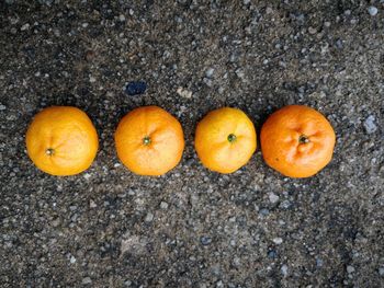 High angle view of orange fruits