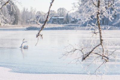 winter