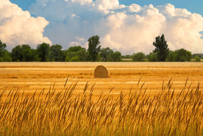 Hay bales on field against sky