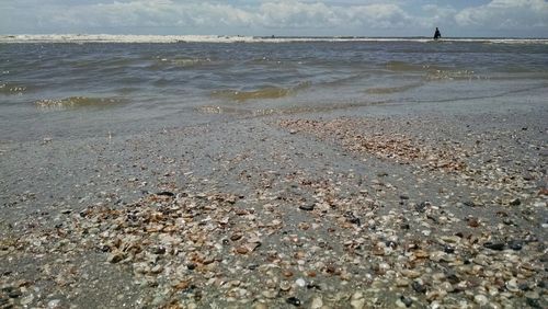 Close-up of man on beach against sky