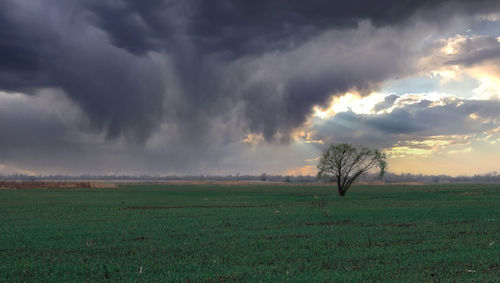 Scenic view of field against sky