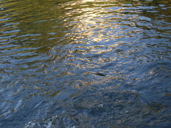 Full frame shot of rippled water
