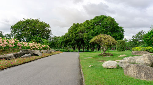 Park, garden design, asphalt road in gardens, stone and flowering plant blooming on green grass lawn