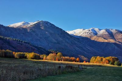 Scenic view of landscape against clear sky