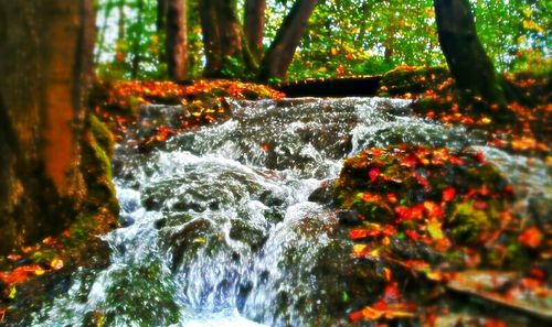 River flowing through rocks