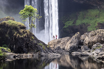 Scenic view of waterfall in forest