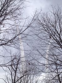 Low angle view of bare tree against sky