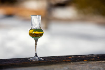 Close-up of wineglass on table