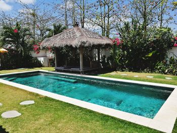 Swimming pool against trees