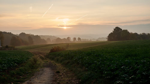 Scenic view of field against sky during sunset