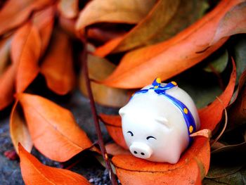 High angle view of piggy bank on plant