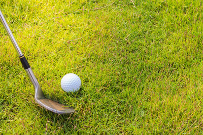 High angle view of golf ball on grassland