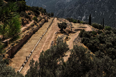 High angle view of road passing through forest