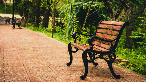 Lonely bench in da lat university, vietnam.