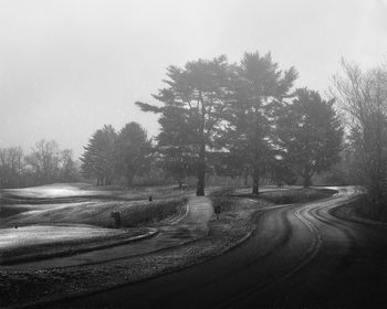 Country road along trees