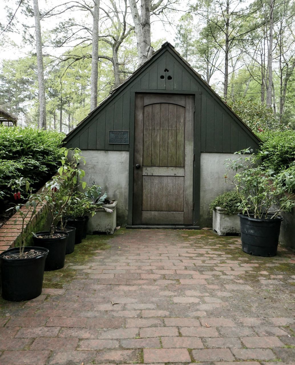 POTTED PLANTS BY BUILDING