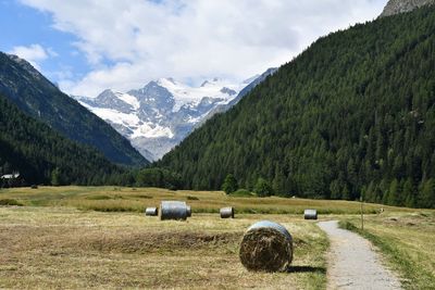 Scenic view of field and mountains against sky