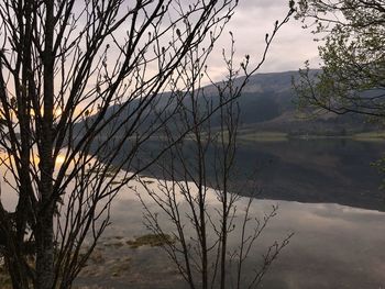 Bare tree by lake against sky