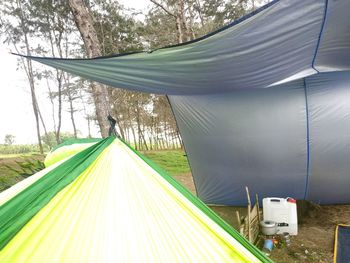 Panoramic view of tent on road amidst trees in forest
