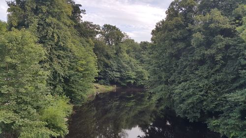 Scenic view of river with trees in background