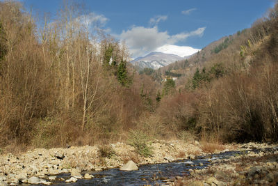 wilderness