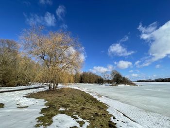 Scenic view of snow covered trees against sky