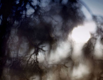 Close-up of blurred background