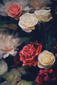 Close-up of rose bouquet