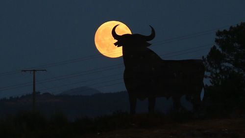 Silhouette horse against sky at sunset