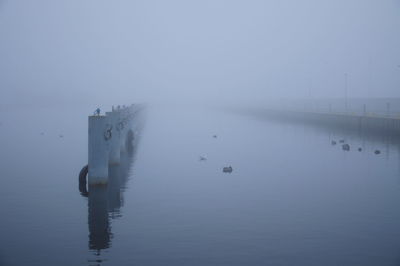 Bollards in sea during foggy weather