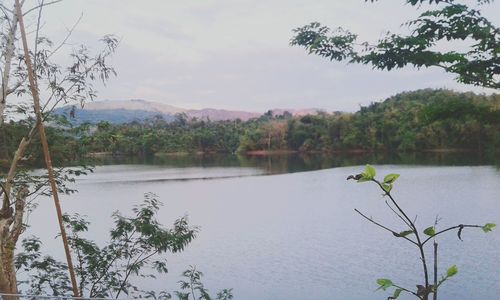 Scenic view of lake by trees against sky