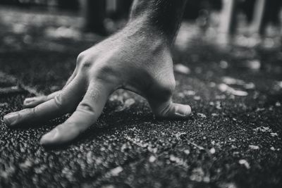Low section of man legs on rug