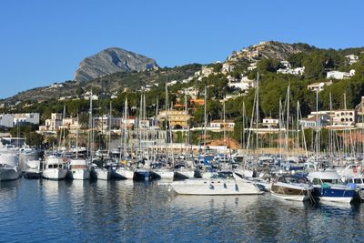 Boats moored in harbor