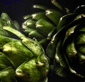 Close-up of vegetables