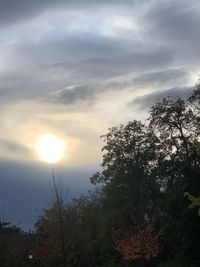 Low angle view of silhouette trees against sky during sunset