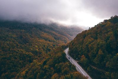 Scenic view of tree mountain