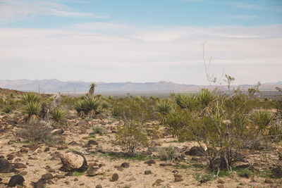 Scenic view of desert against cloudy sky